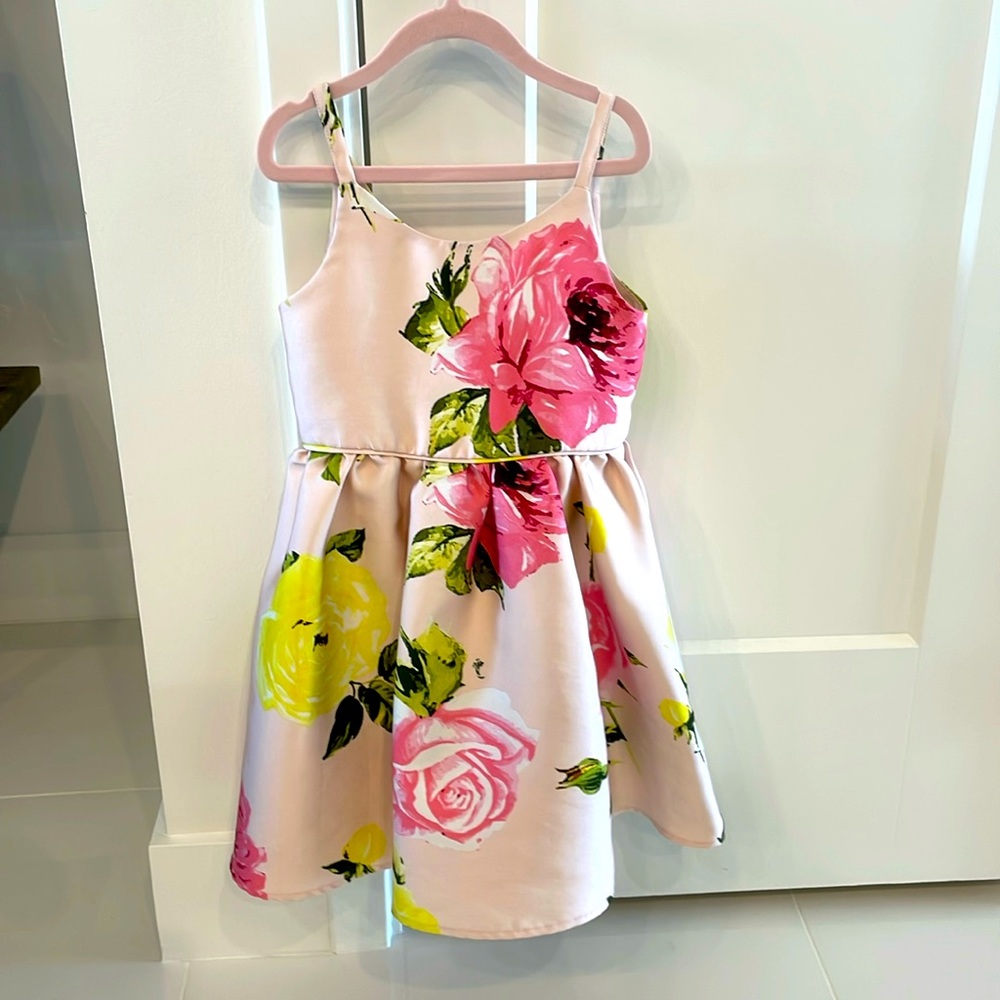 Girls lined spring dress with bow detail on back. Size 6.